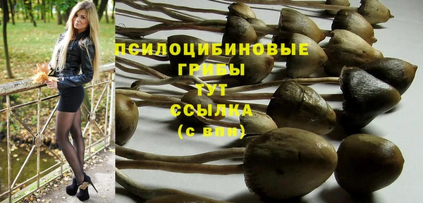 марки lsd Верхний Тагил