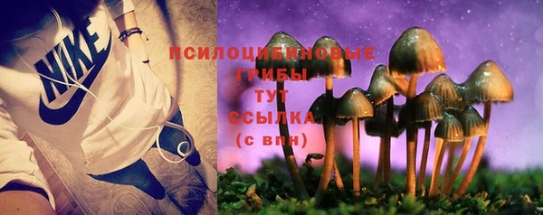 трава Верея